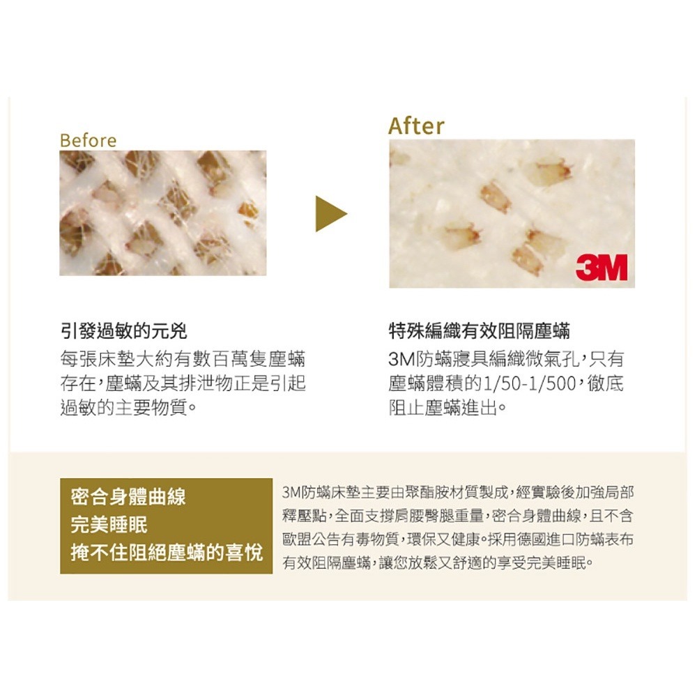 3M MIT防蹣床墊-中密度加高型(單人/雙人可選) 學生 租屋族 小資族-細節圖5