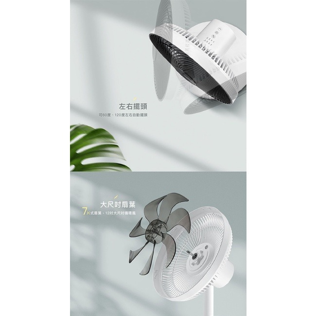 CHIMEI奇美 12吋DC馬達遙控擺頭 桌/立式循環扇 DF-12A0CT-細節圖5