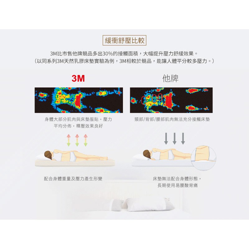 【3M】天然乳膠防蹣枕-標準透氣型 附防蹣枕套 7100040823-細節圖7