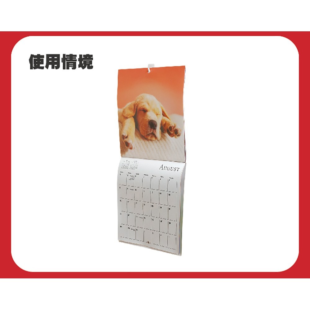 3M 17011 無痕掛鉤月曆專用-象牙白 掛勾 收納 日曆-細節圖5