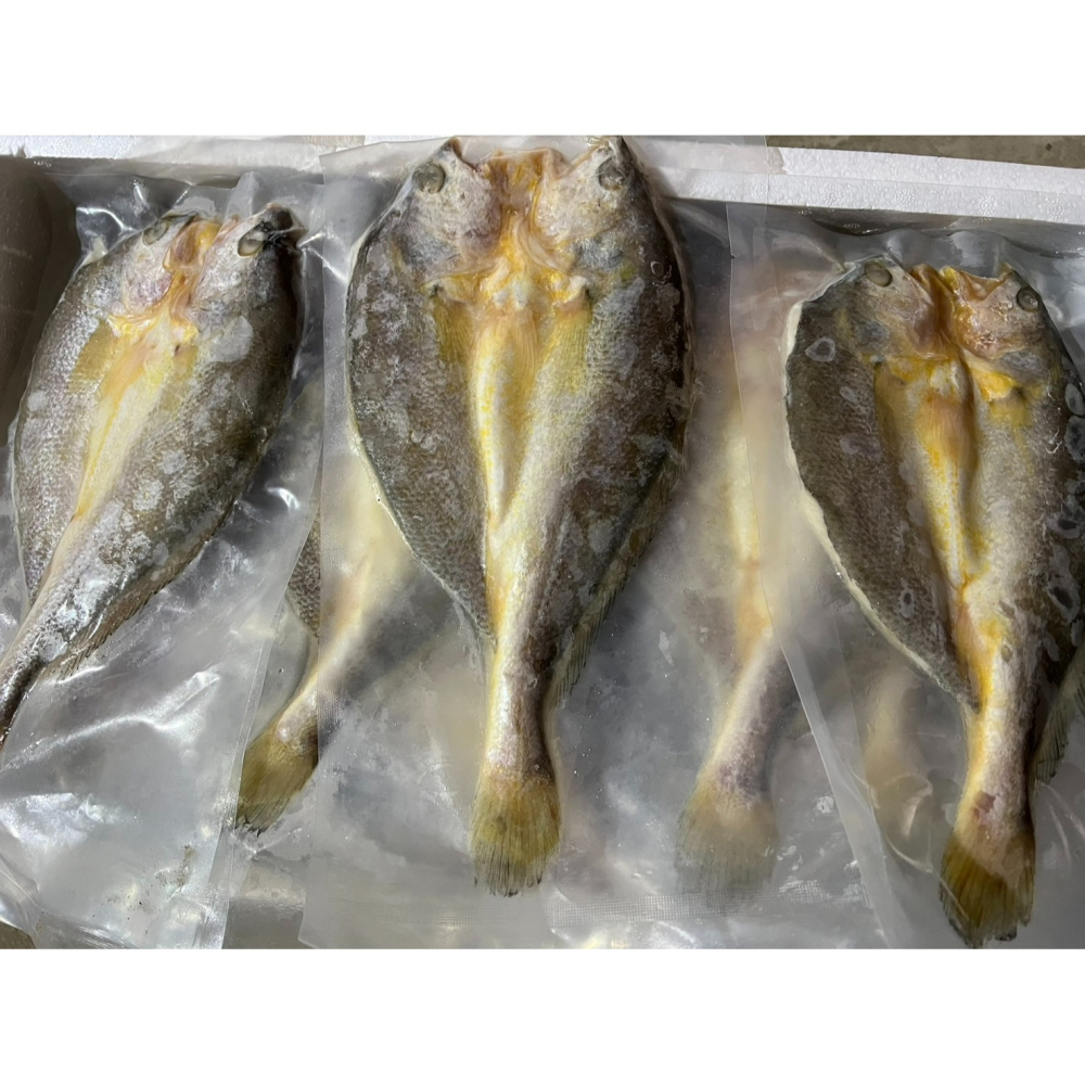 [循覓海鮮]-黃魚一夜乾250g+-10%-細節圖3