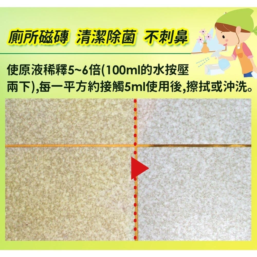 【KINCHO金鳥】馬桶清潔 | 強力去污、尿石去除-細節圖6