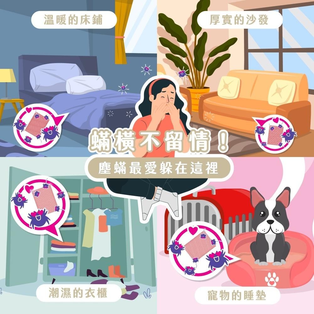 【KINCHO金鳥】捕蟎蟲貼紙｜3枚入、有效三個月-細節圖3