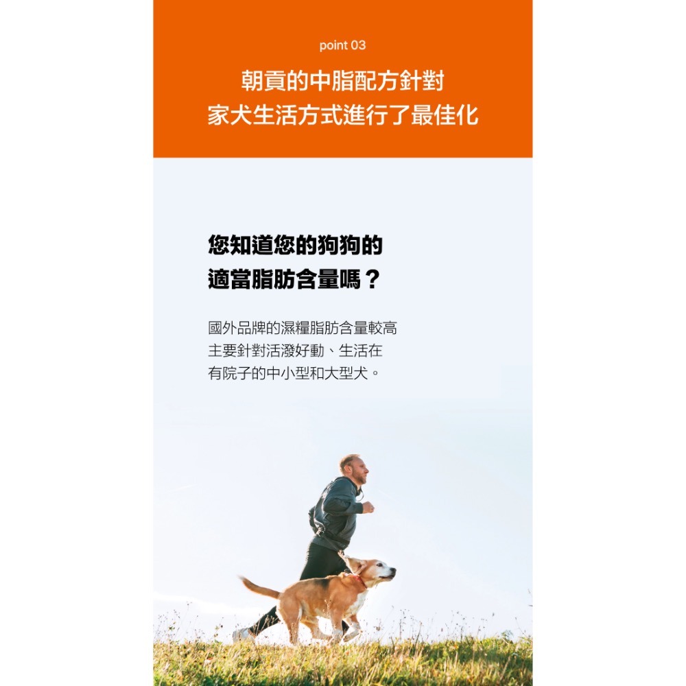 喵乜乜 嚴選 韓國朝貢 philo 菲洛【犬用主食罐系列】-細節圖3