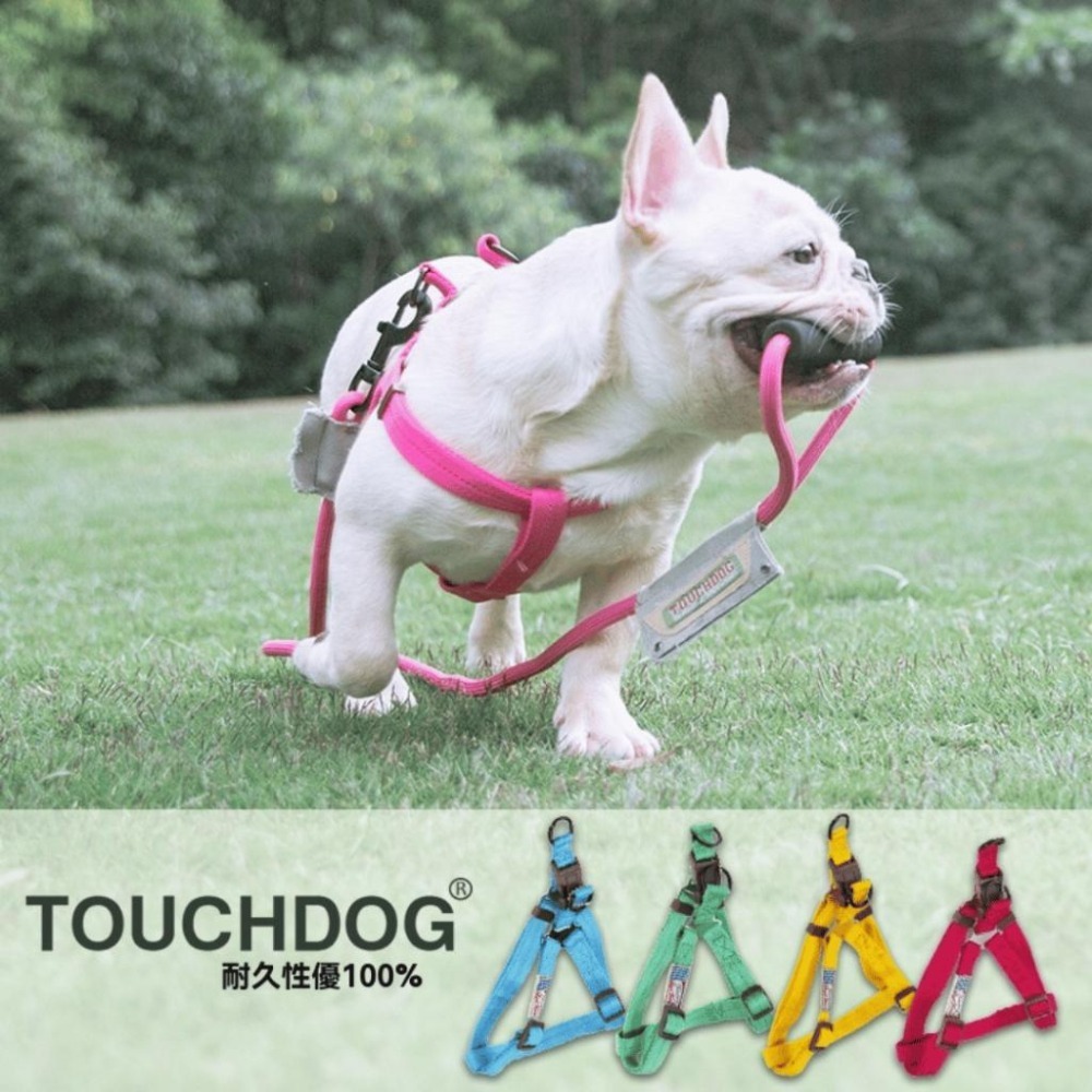 Meowmatmat Touchdog 牽繩 狗鏈 狗胸背 小型犬 中型犬 大型犬 遛狗繩 胸背-細節圖2