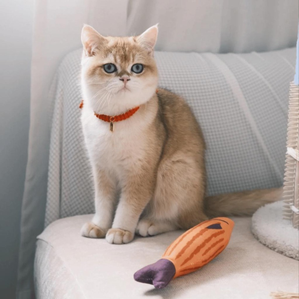 Meowmatmat 貓咪玩具 魚 貓薄荷 解悶 磨牙 耐咬 逗貓棒 小貓 寵物用品 貓咪玩具-細節圖3