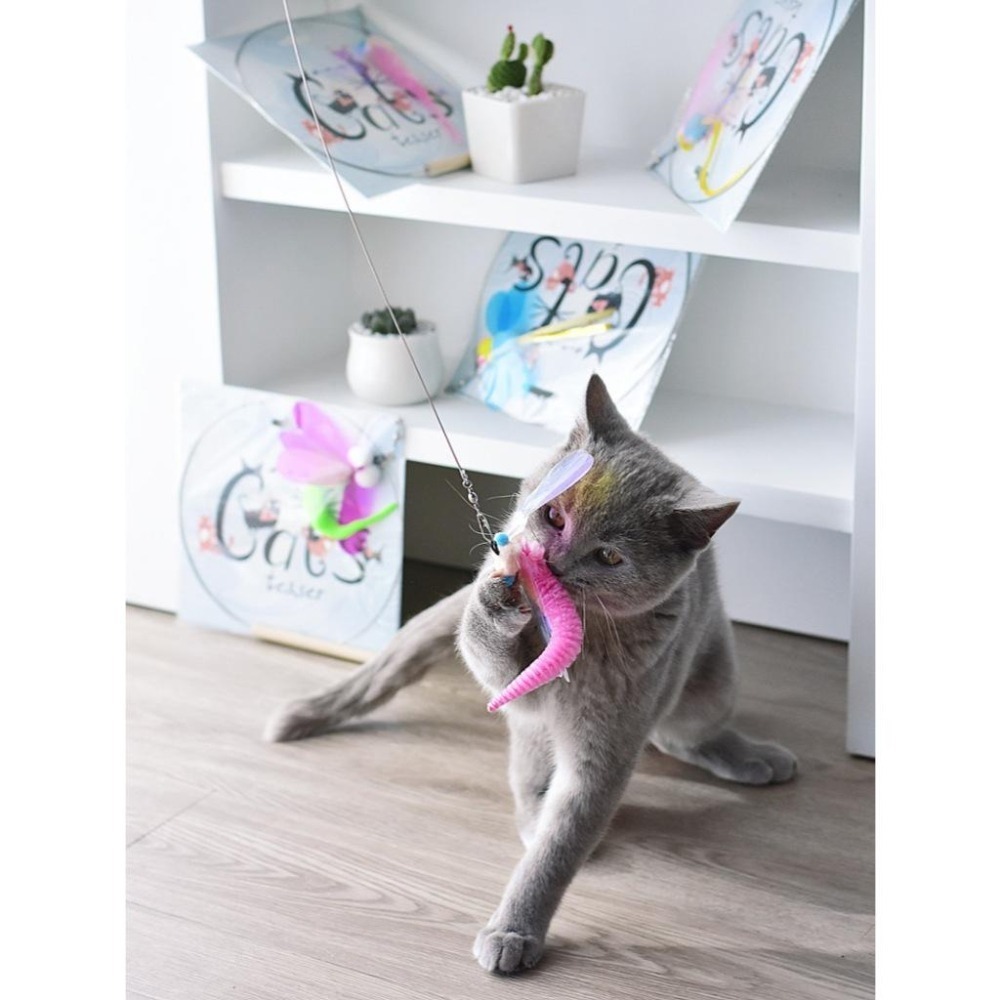 Meowmatmat 昆蟲 逗貓棒-細節圖3
