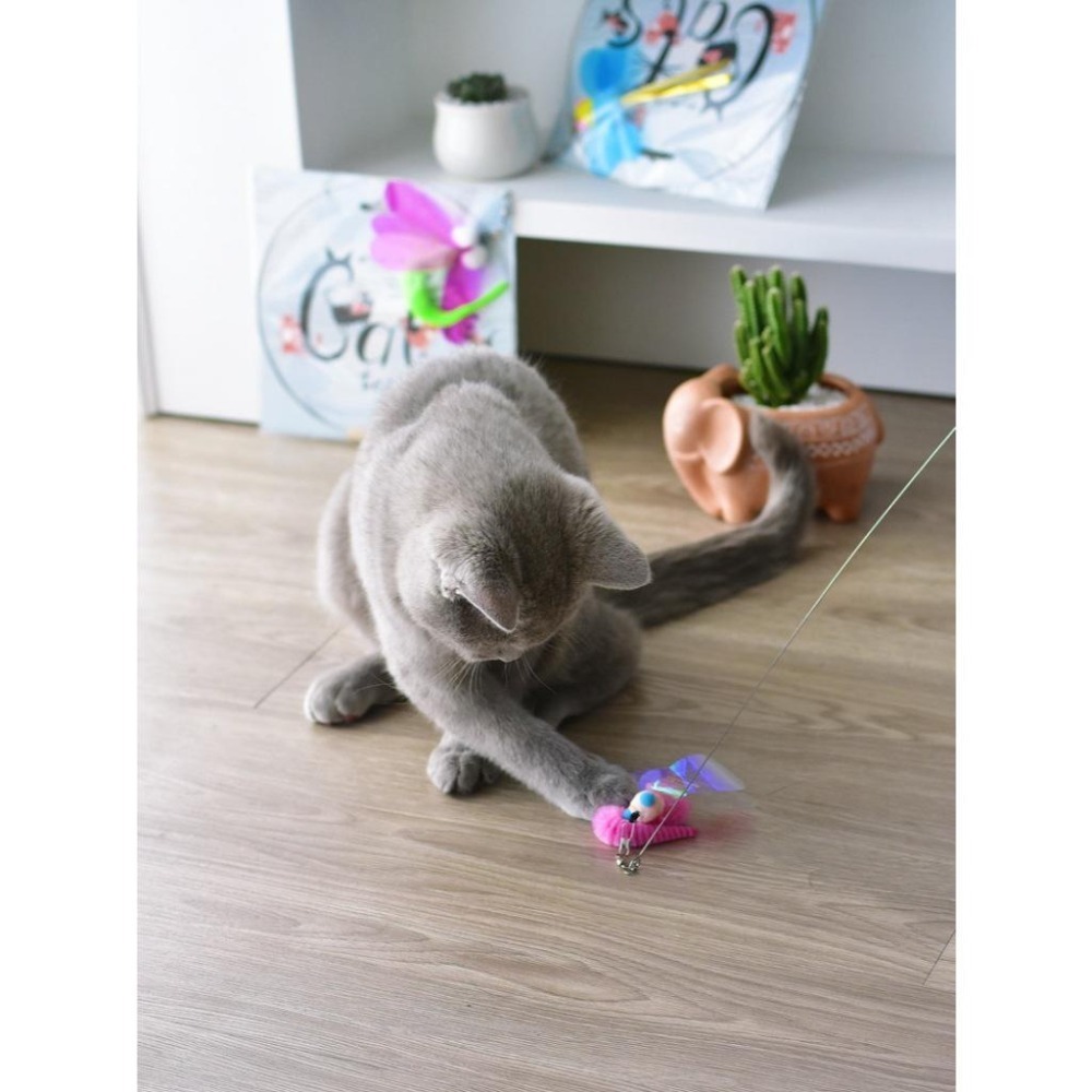Meowmatmat 昆蟲 逗貓棒-細節圖4