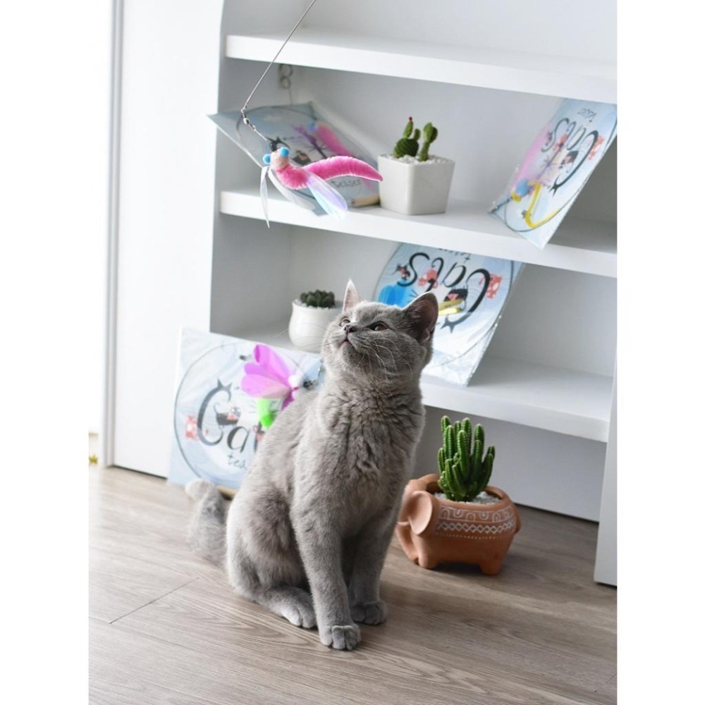 Meowmatmat 昆蟲 逗貓棒-細節圖5