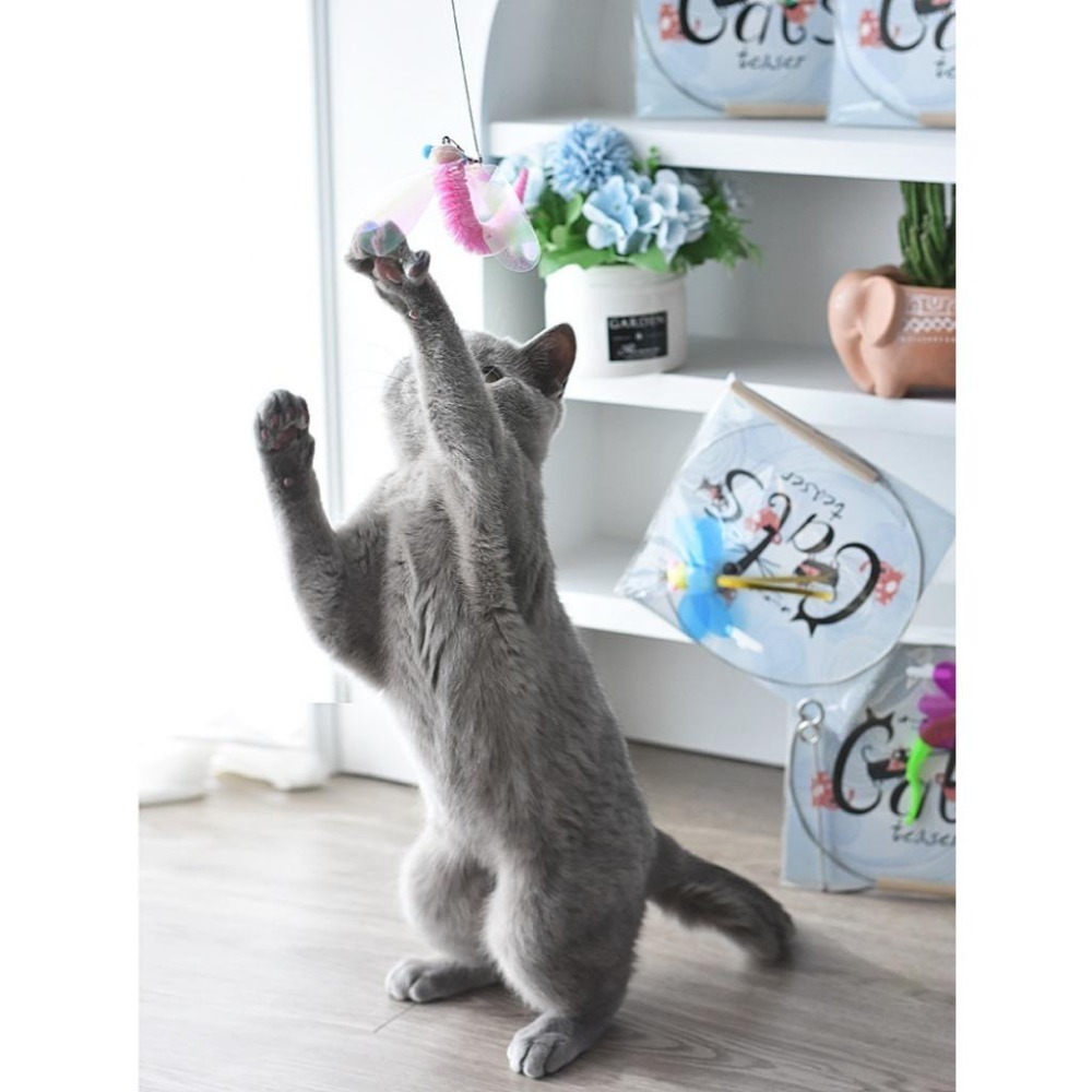 Meowmatmat 昆蟲 逗貓棒-細節圖6