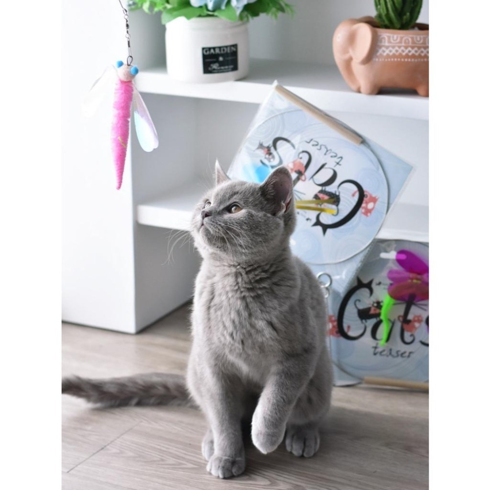 Meowmatmat 昆蟲 逗貓棒-細節圖7