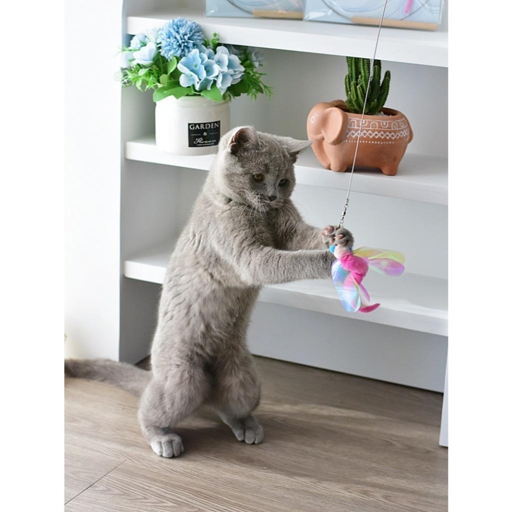 Meowmatmat 昆蟲 逗貓棒-細節圖8