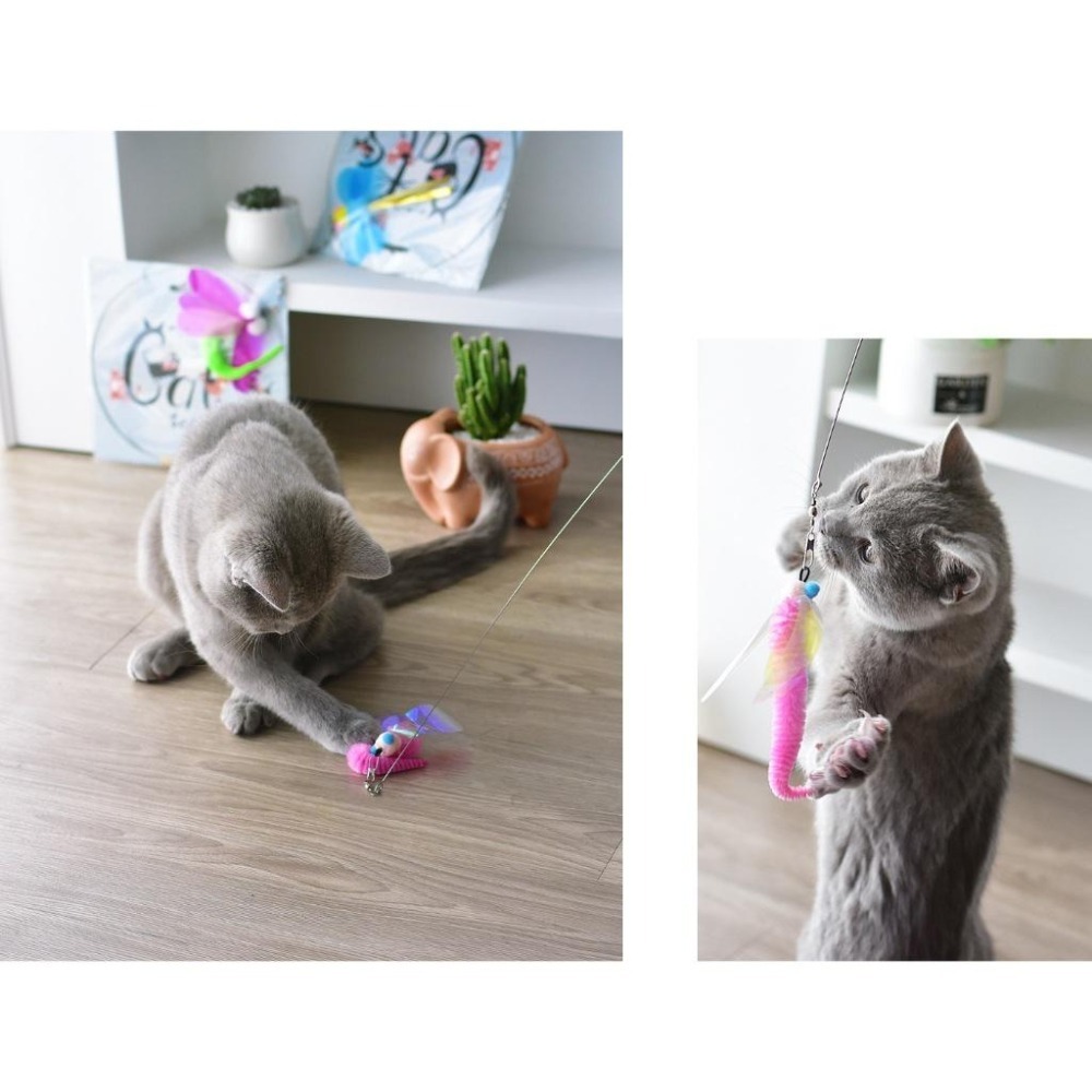 Meowmatmat 昆蟲 逗貓棒-細節圖9