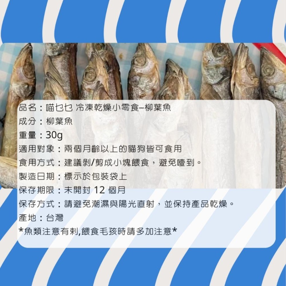 喵乜乜 蝦仁凍乾 帆立貝凍乾 綠貽貝凍乾 丁香魚凍乾 柳葉魚凍乾  凍乾 貓零食 狗零食 冷凍乾燥小零食-細節圖4