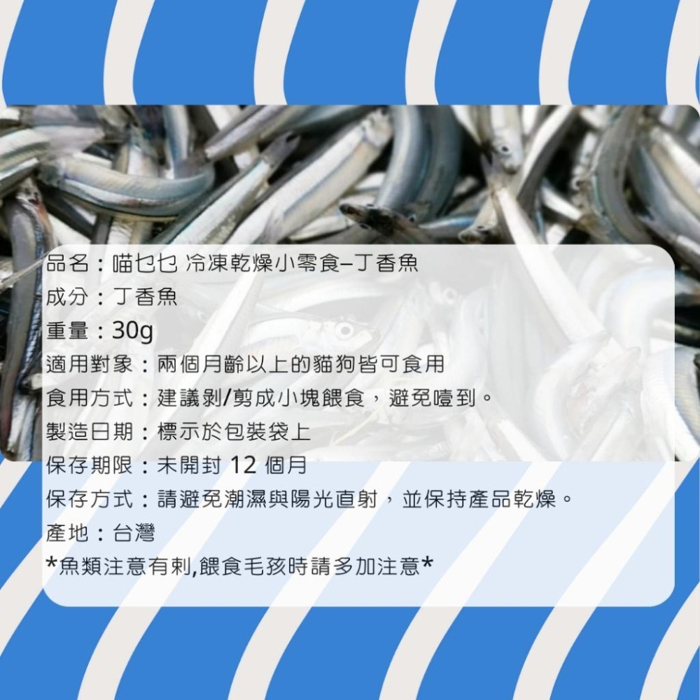 喵乜乜 蝦仁凍乾 帆立貝凍乾 綠貽貝凍乾 丁香魚凍乾 柳葉魚凍乾  凍乾 貓零食 狗零食 冷凍乾燥小零食-細節圖5