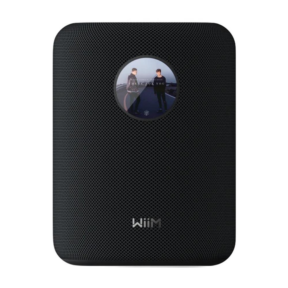 WiiM Sound 無線串流智慧揚聲器-細節圖3