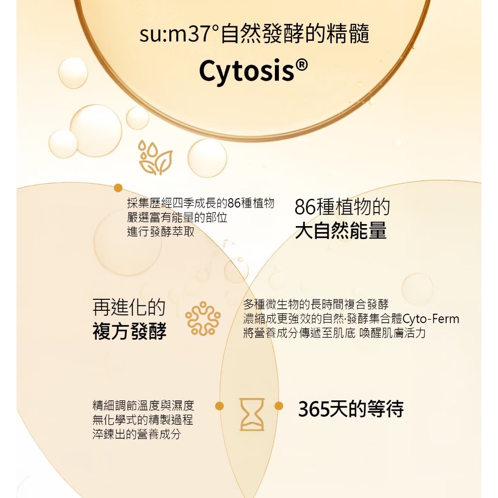 ((好市多現貨))🎀2028韓國su:m37º 青春奇蹟活酵肌秘露(80毫升/ 30毫升)-細節圖4