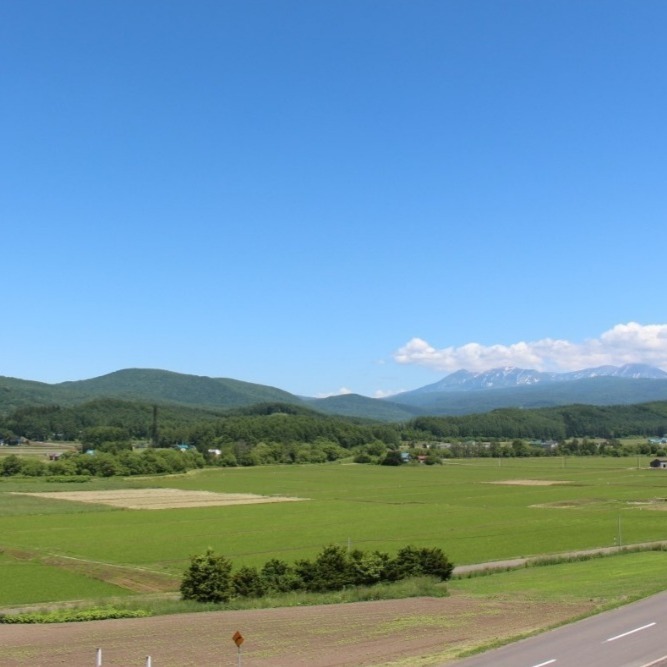 北海道夢美人米 -日本契作直送，下單後新鮮碾米-細節圖3