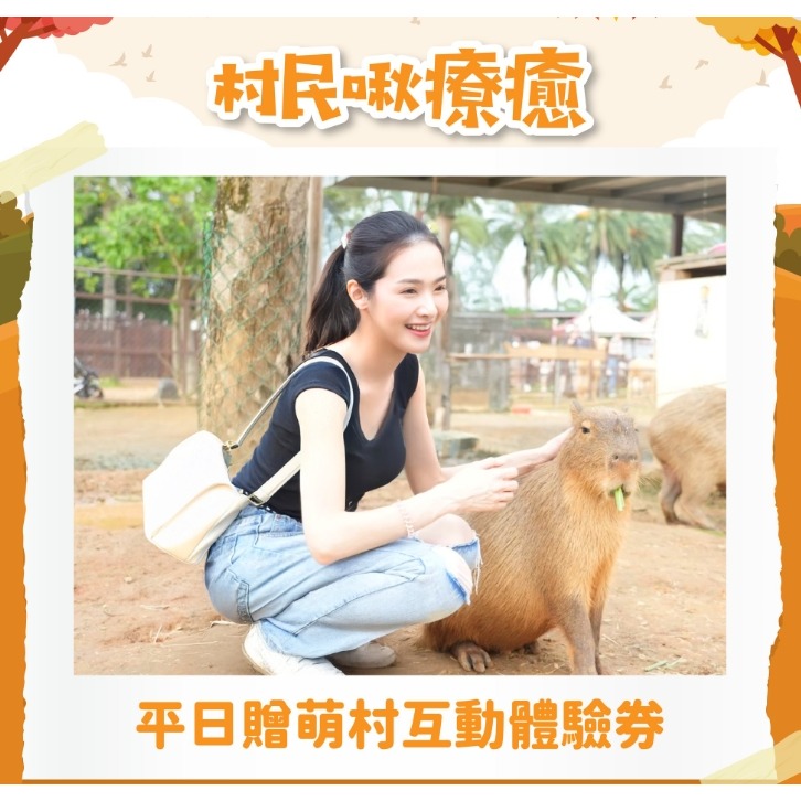 歡樂GO埔心牧場門票+60元DIY+30元牧場抵用券/一人一票-細節圖2