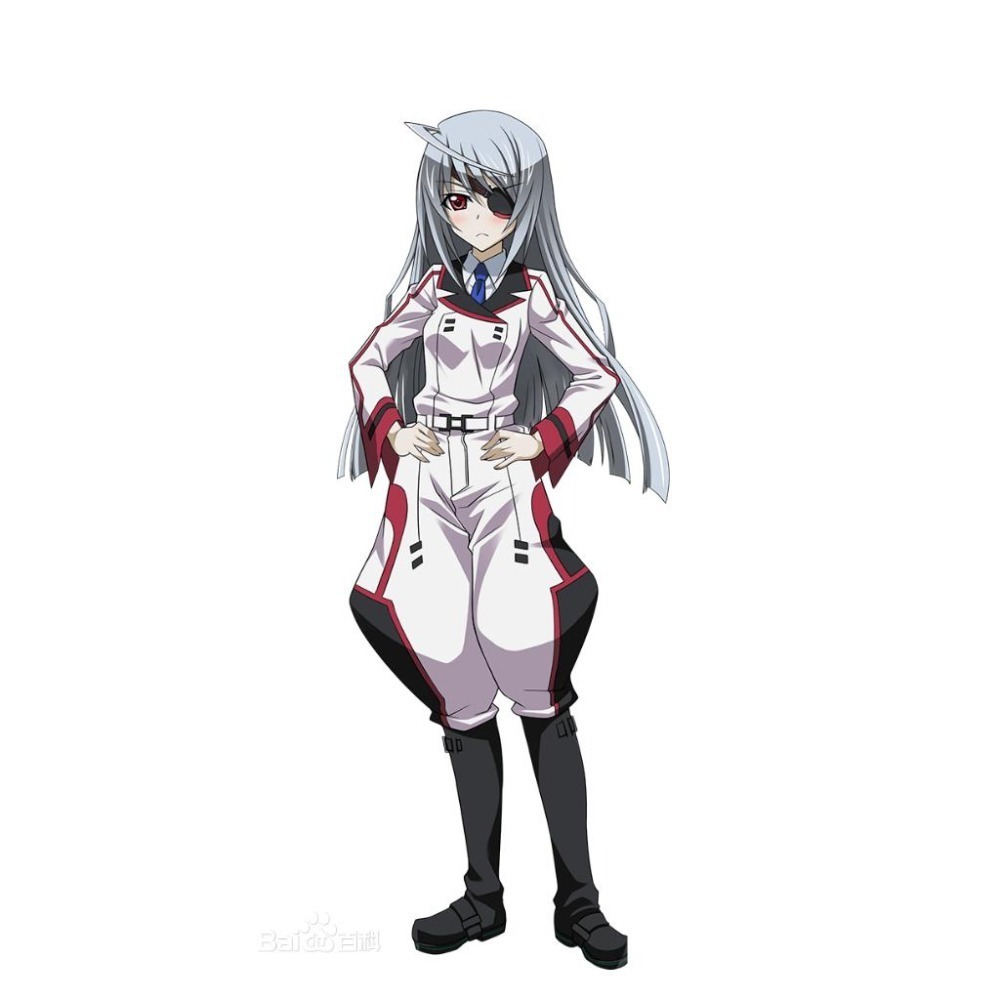 《 掛軸》IS〈Infinite Stratos〉 WonderGOO特典掛軸 蘿拉 夏洛特 新品現貨-細節圖3