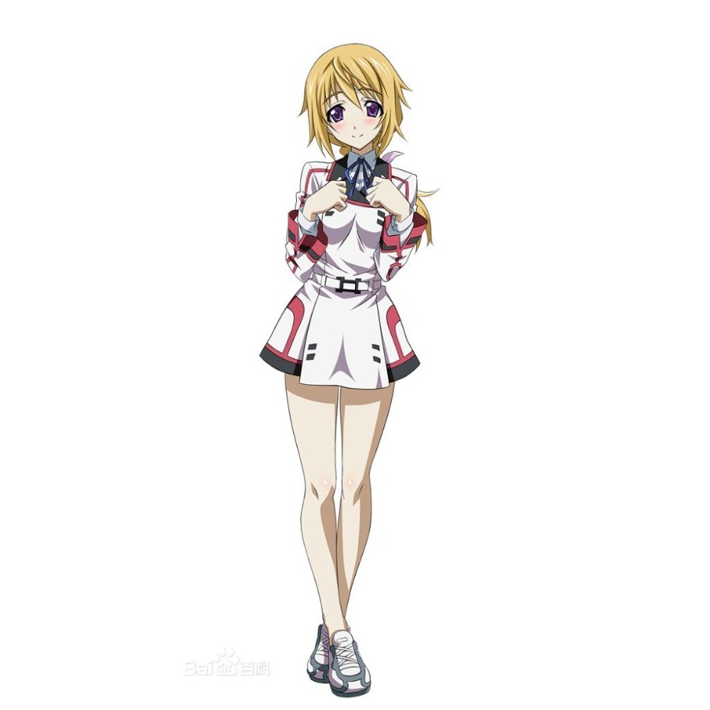 《掛軸》IS〈Infinite Stratos〉 ebten特典掛軸 塞西莉亞 夏洛特 新品現貨-細節圖3