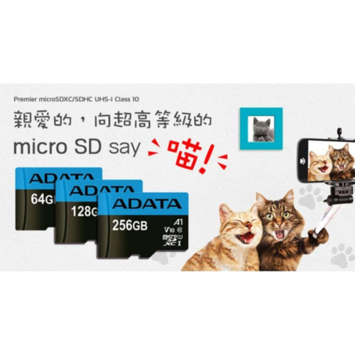 【電玩貓】ADATA 威剛 64GB/128GB/256GB microSD TF記憶卡 新品現貨
