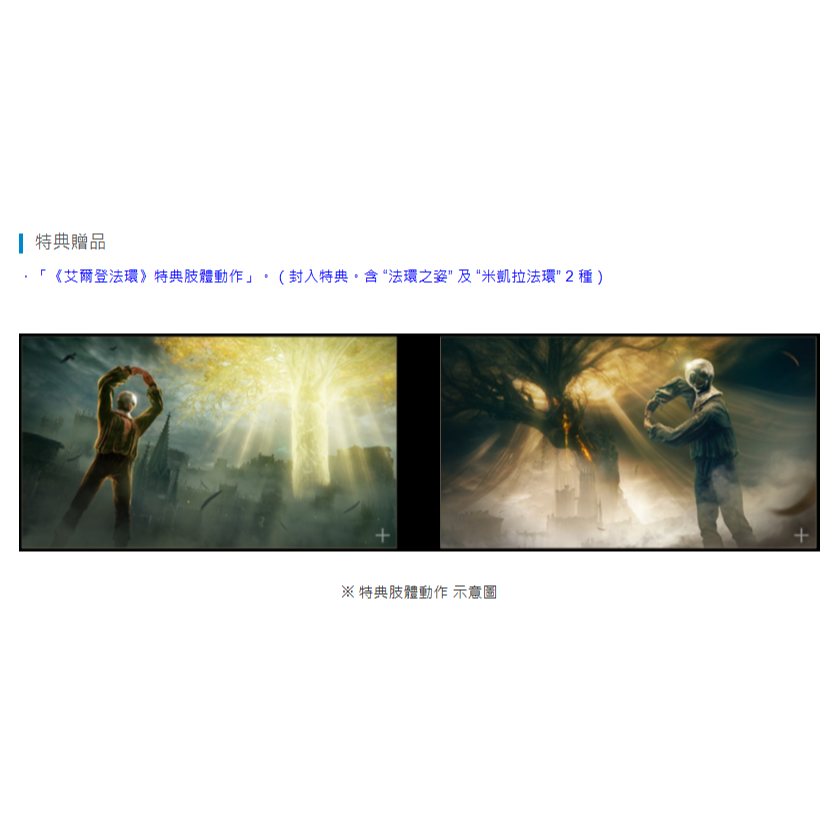 《有特典》NS2 艾爾登法環 褪色者版 一般版 亞版繁中 新品現貨-細節圖3