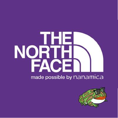 【明天是週末】日本 THE NORTH FACE PURPLE LABEL 代購 北臉 紫標 TNF