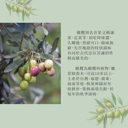 水里鄉農會商品甘草橄欖280g-細節圖6