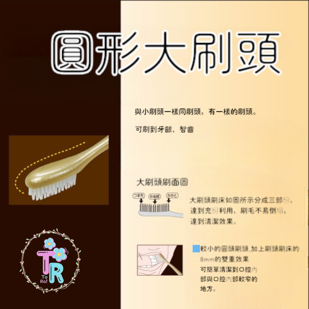 ☺ToRai☺日本製  池本牙刷 DuBOIS 健康長壽牙刷   軟(刷毛：3列)-細節圖4