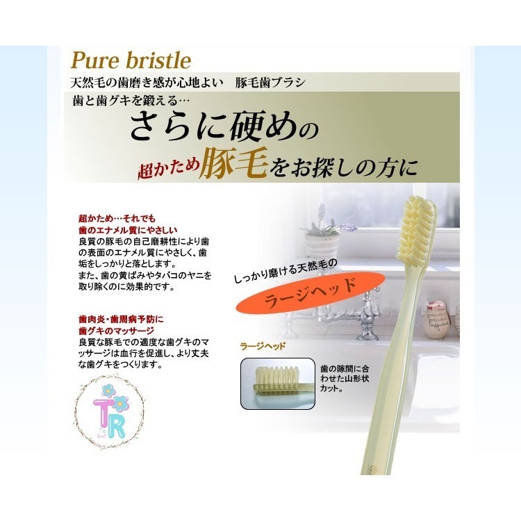 ☺ToRai☺ 日本池本 IKEMOTO 成人牙刷 白馬毛 豚毛 超軟刷毛 共4款 軟毛 硬毛 口腔清潔 潔牙-細節圖7