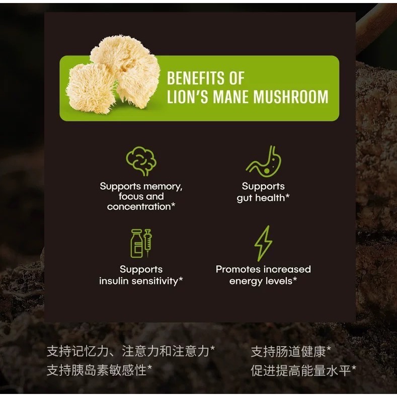 🇺🇸美國補腦積極情緒PS軀體化管理 腦焦慮舒緩NAT蟲草膠囊-細節圖7