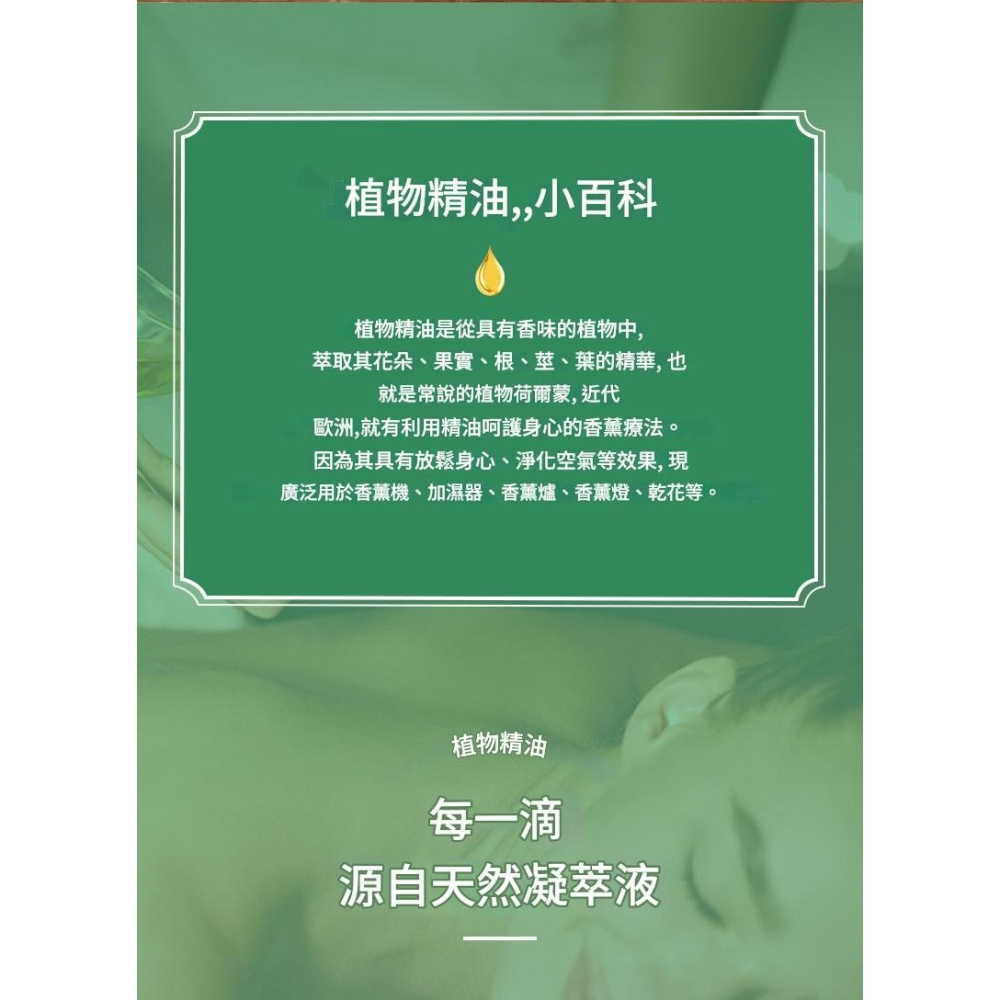 茶樹精油100ml 單方精油-細節圖5