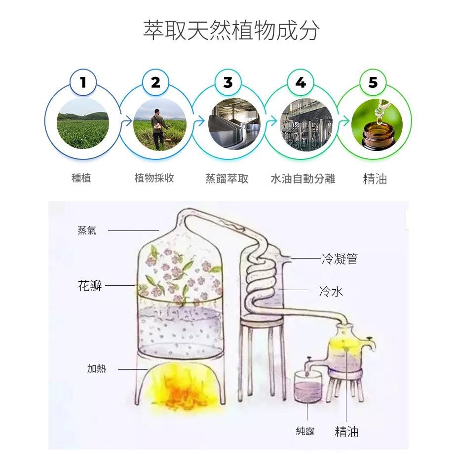 100ml單方精油 薰香 按摩-細節圖3