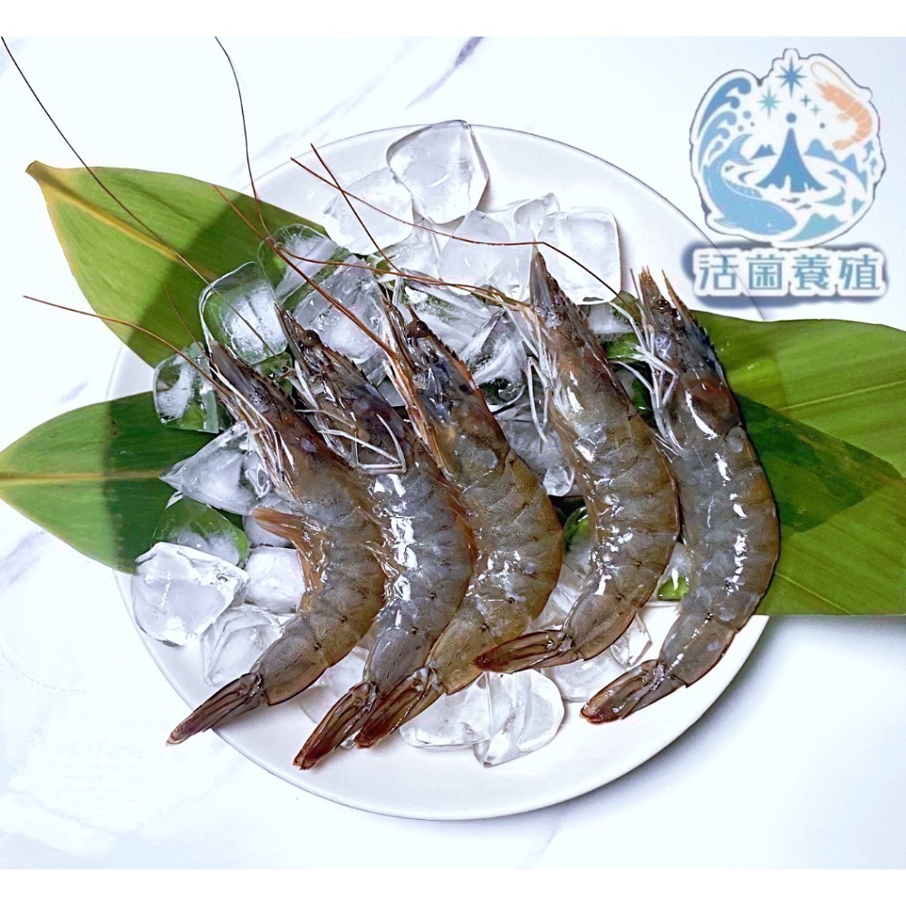 南洋魚販售所 · 活菌養殖 - 白蝦，真空冷凍出貨-細節圖3