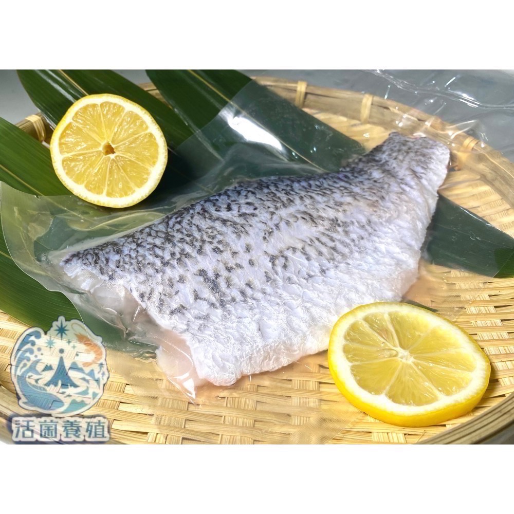 南洋魚販售所 · 活菌養殖 - 金目鱸魚片 / 無土味，真空包裝-規格圖7