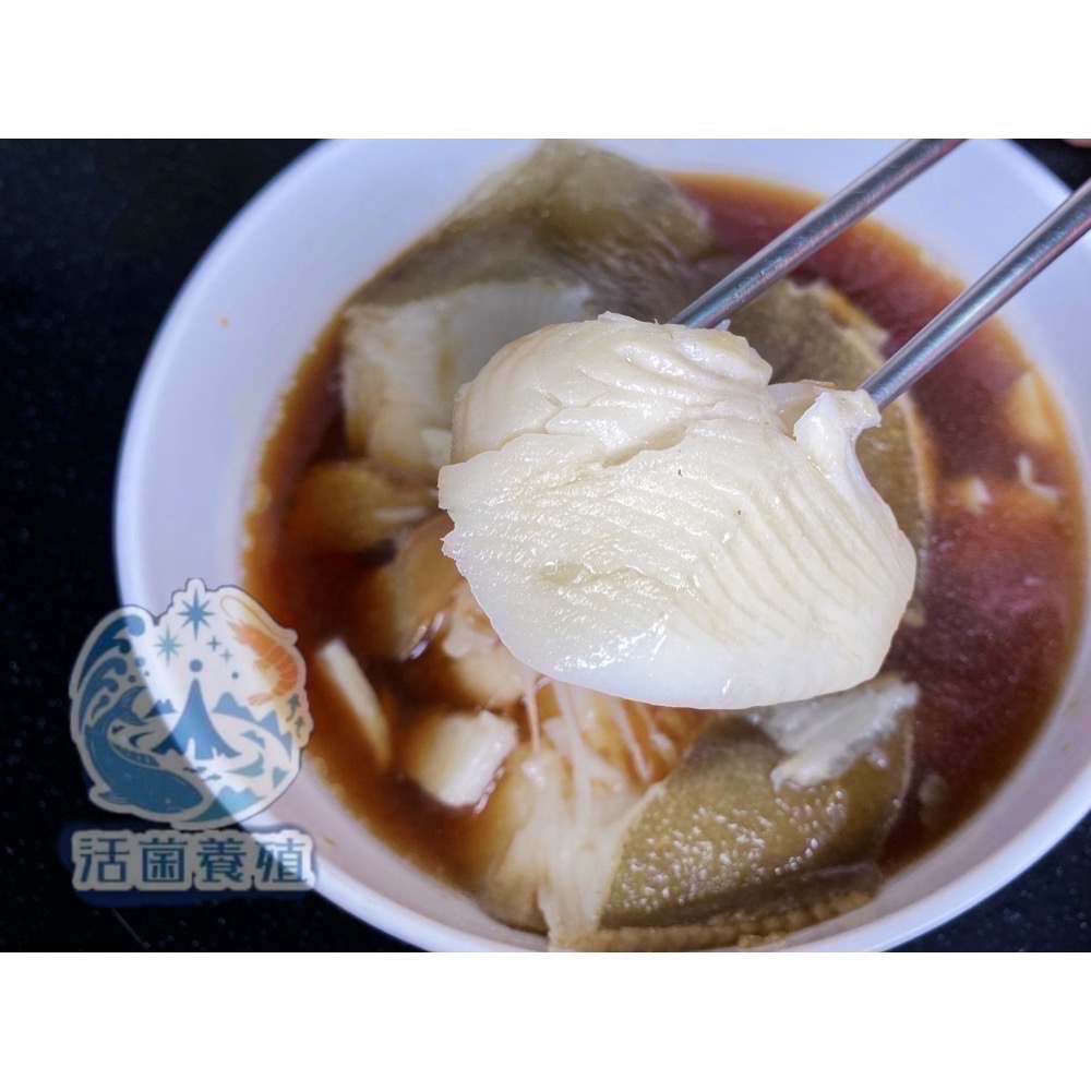 南洋魚販售所 · 漁船現撈 - 急速冷凍/厚切大西洋深海扁鱈 大比目魚（包冰率5%）-細節圖3