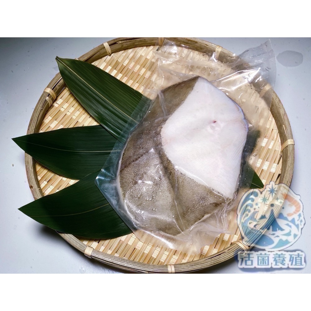 南洋魚販售所 · 漁船現撈 - 急速冷凍/厚切大西洋深海扁鱈 大比目魚（包冰率5%）-細節圖2