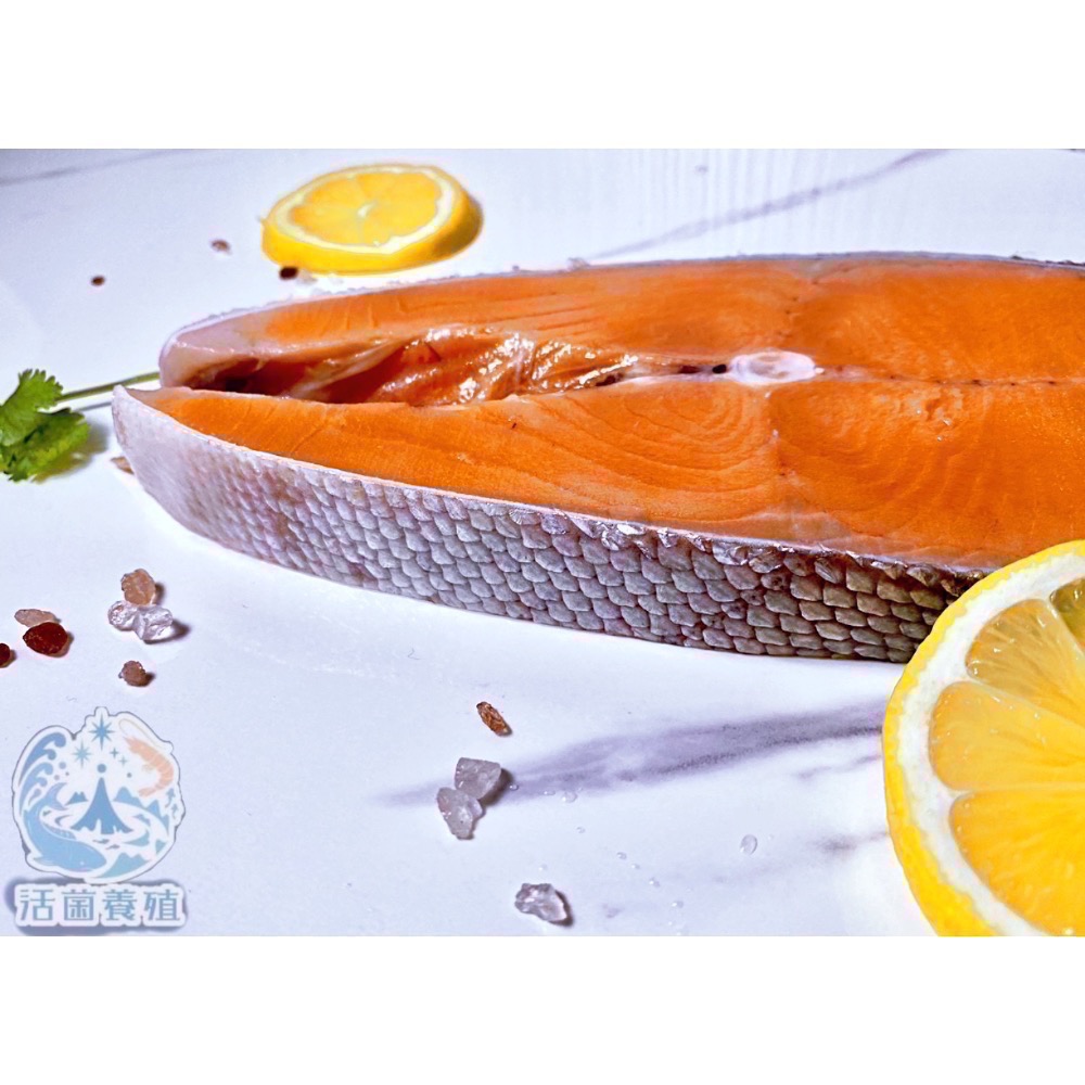 南洋魚販售所 · 漁船現撈 - 急速冷凍/厚切智利深海鮭魚（包冰率5%）-細節圖3