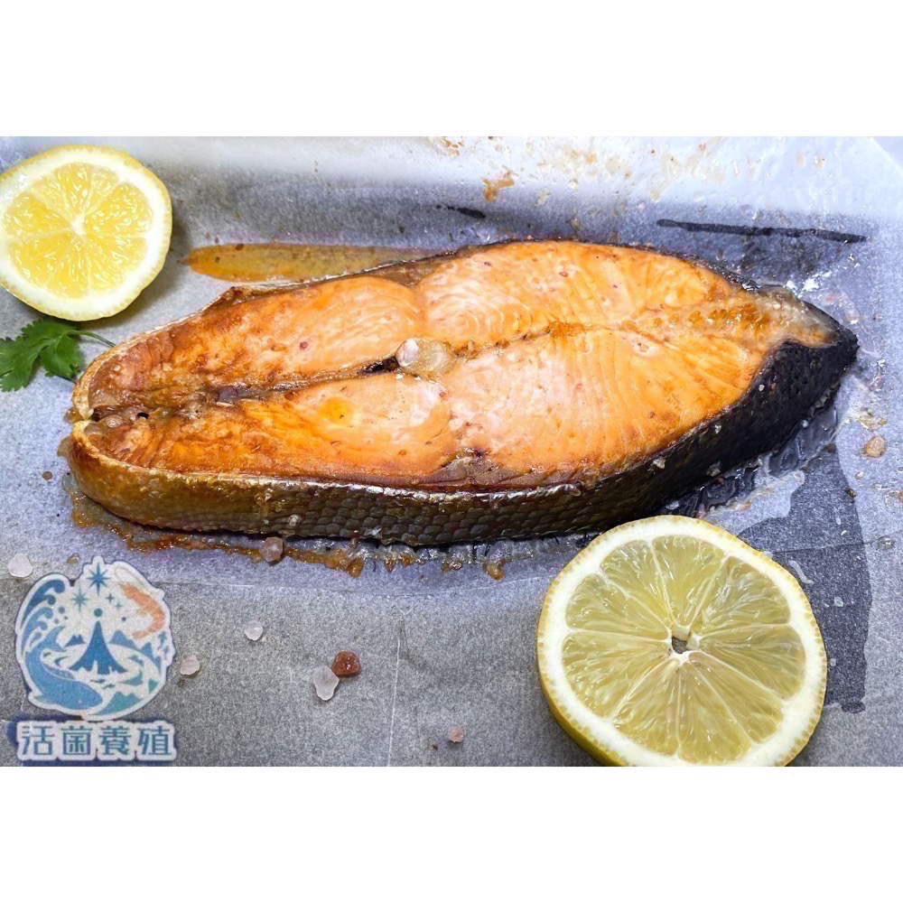 南洋魚販售所 · 漁船現撈 - 急速冷凍/厚切智利深海鮭魚（包冰率5%）-細節圖5
