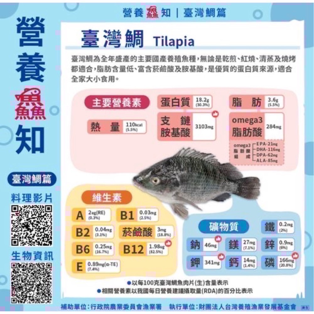 南洋魚販售所 · 活菌養殖 - 鹹水 台灣鯛 吳郭魚 無土味，殺好，非洲仔，本土-細節圖3