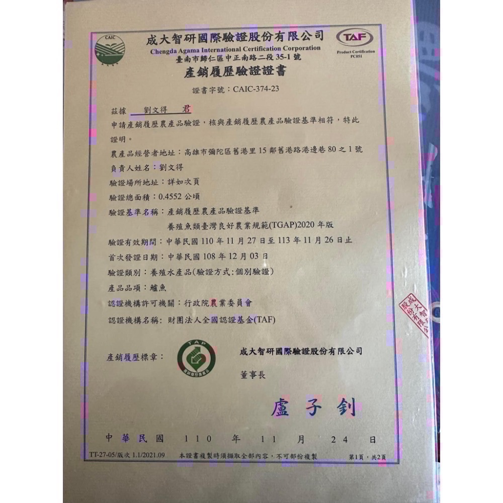 南洋魚販售所 · 活菌養殖 - 鹹水 台灣鯛 吳郭魚 無土味，殺好，非洲仔，本土-細節圖6