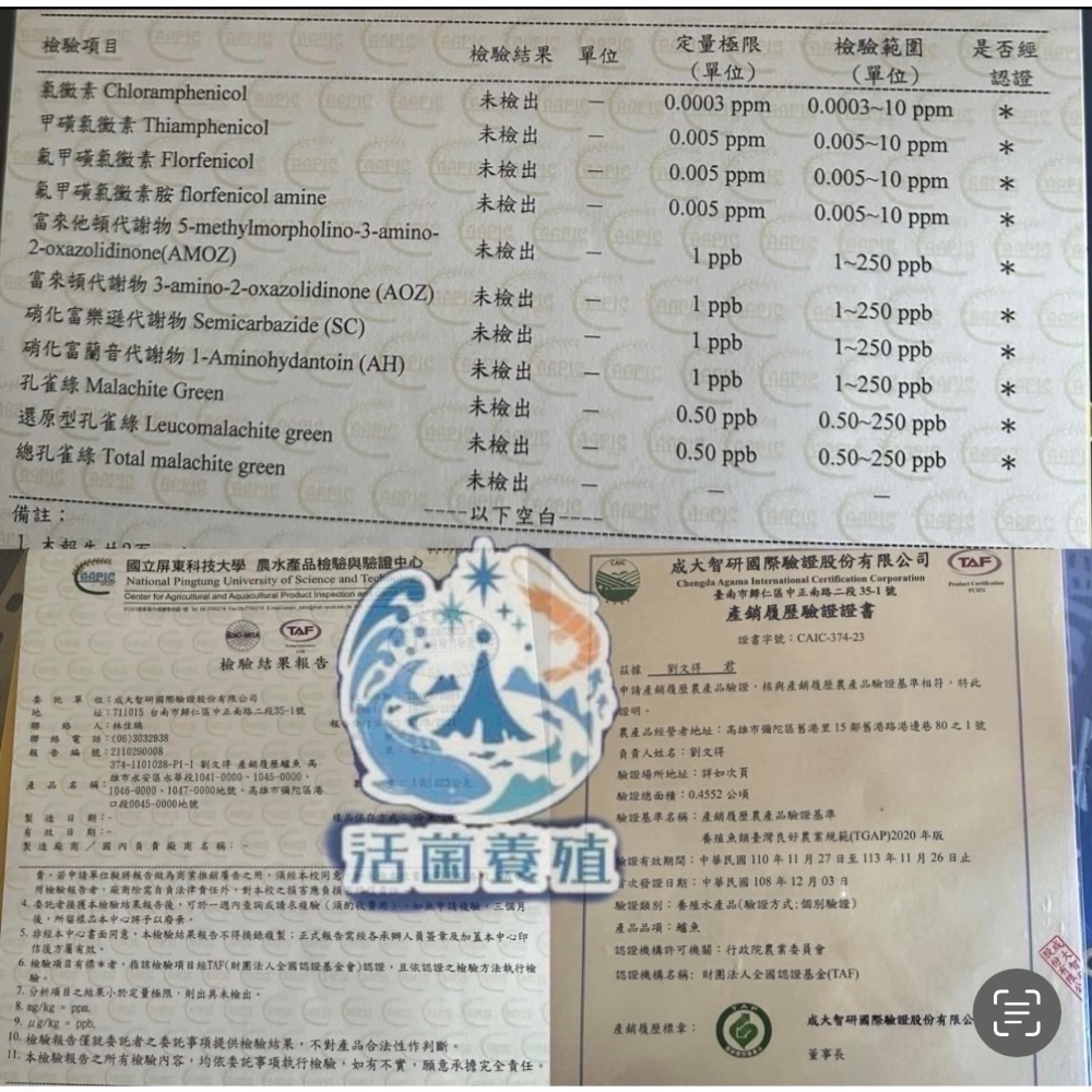 南洋魚販售所 · 活菌養殖 - 金目鱸魚 / 無土味，三去，殺好，真空包裝-細節圖4