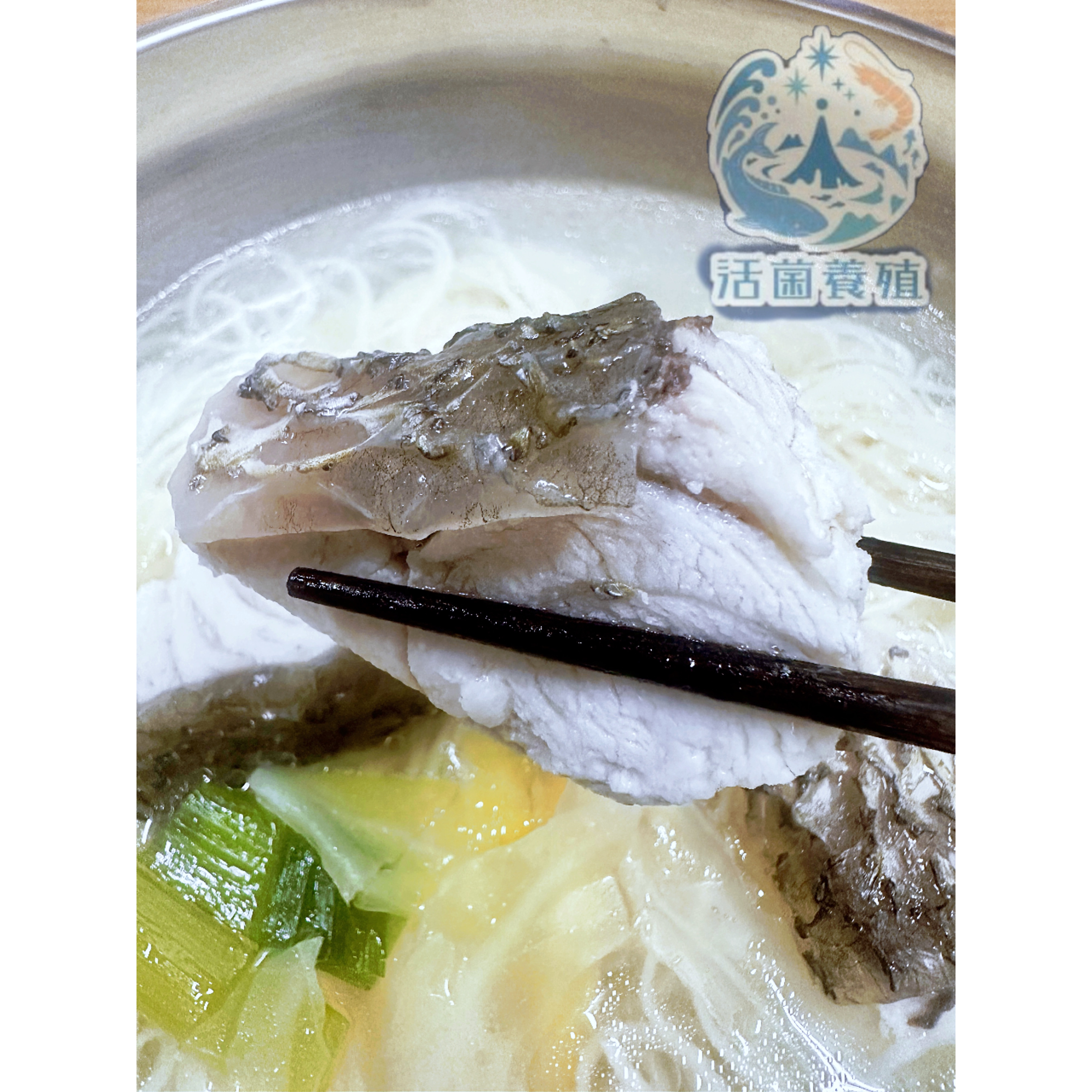 南洋魚販售所 · 活菌養殖 - 金目鱸魚 / 無土味，三去，殺好，真空包裝-細節圖6