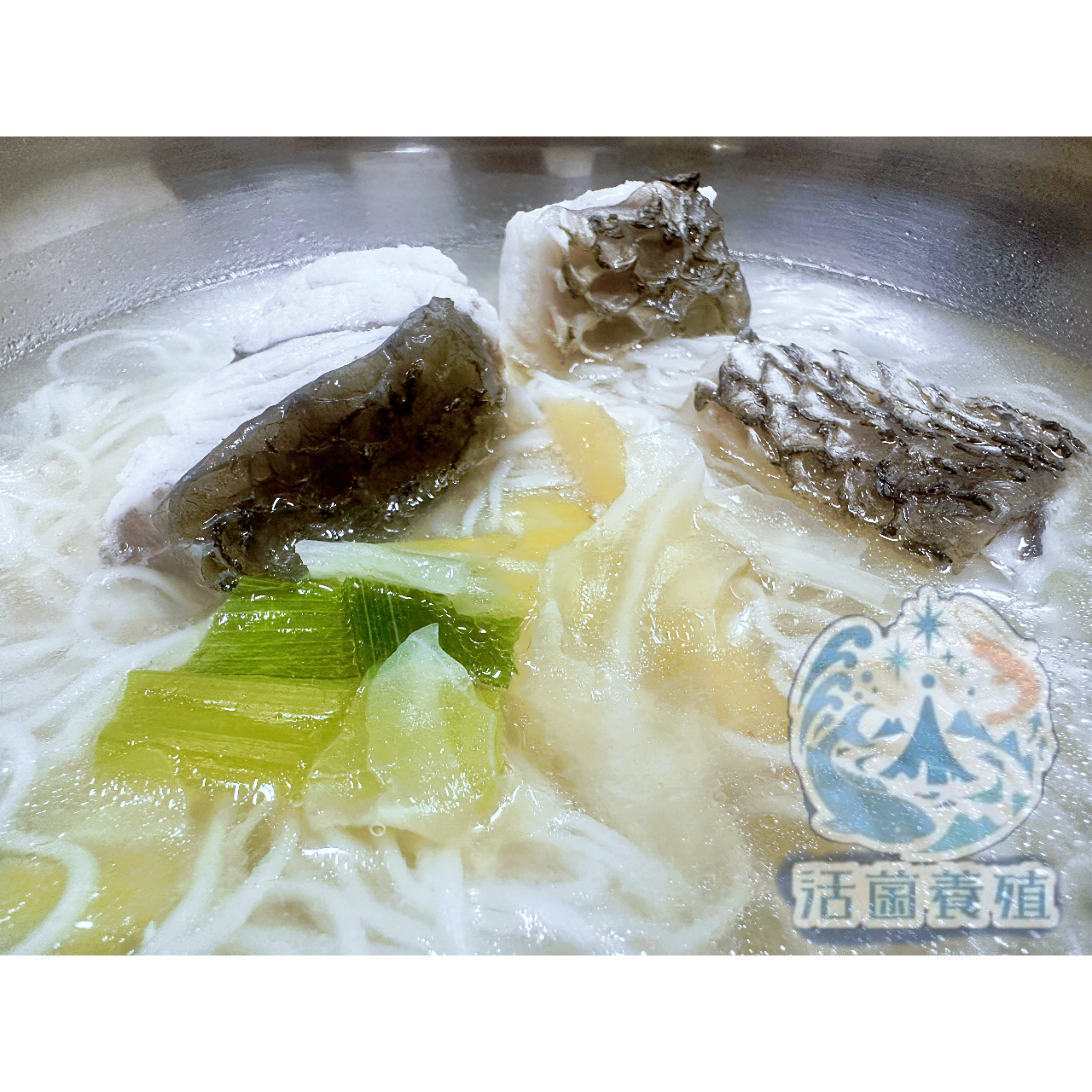 南洋魚販售所 · 活菌養殖 - 金目鱸魚 / 無土味，三去，殺好，真空包裝-細節圖7