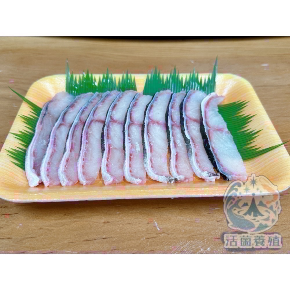 南洋魚販售所 · 活菌養殖 - 雪鱸鰻 魚片 花鰻 雪鰻 鱔王 鱸鰻-細節圖2