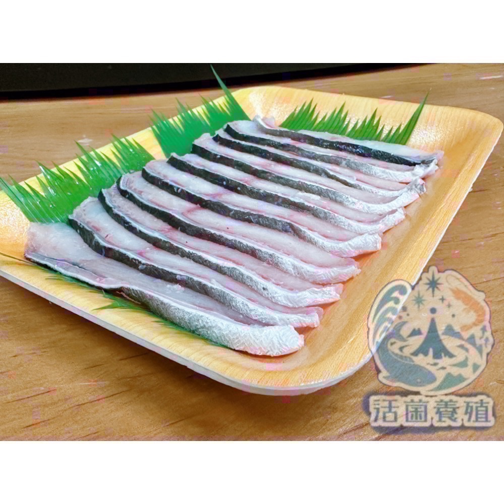 南洋魚販售所 · 活菌養殖 - 雪鱸鰻 魚片 花鰻 雪鰻 鱔王 鱸鰻-細節圖4