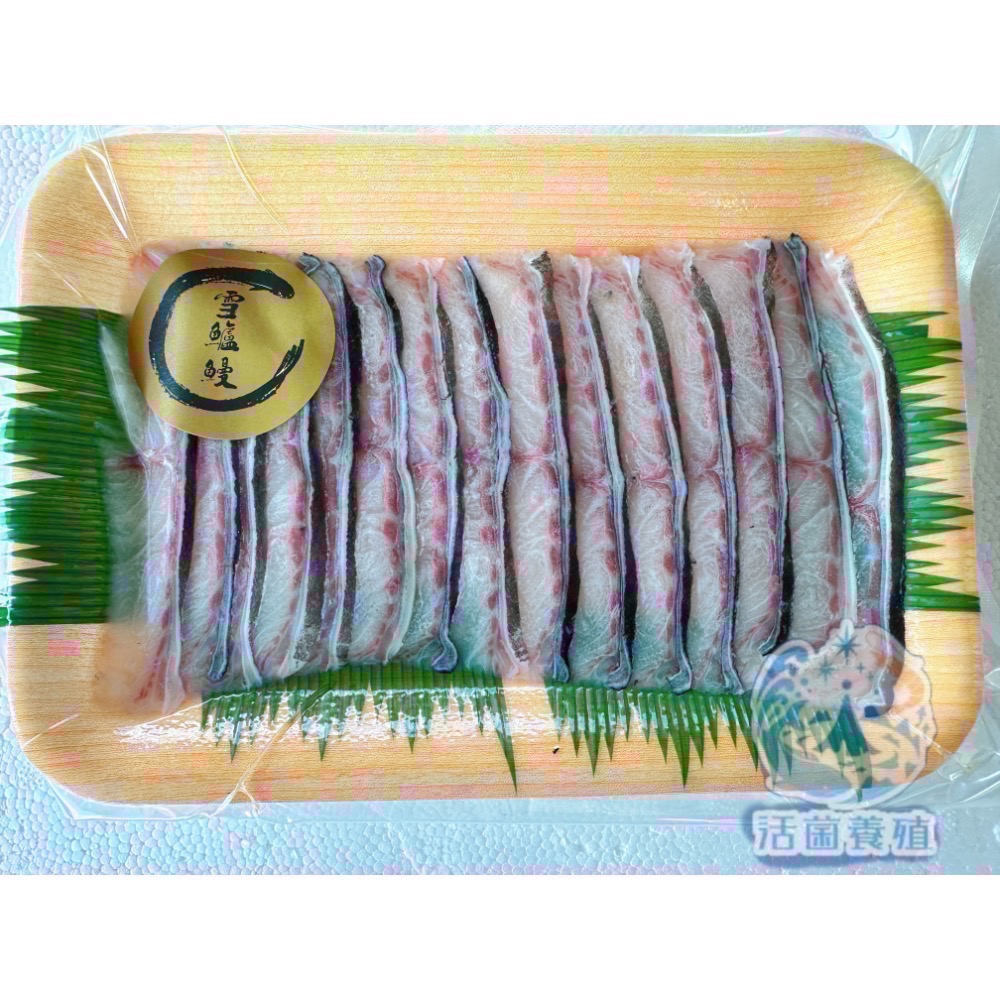 南洋魚販售所 · 活菌養殖 - 雪鱸鰻 魚片 花鰻 雪鰻 鱔王 鱸鰻-細節圖5