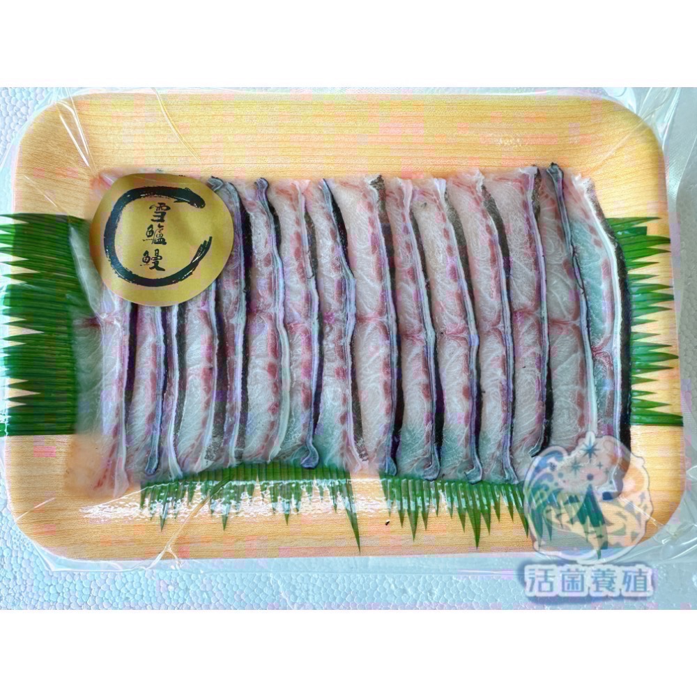 南洋魚販售所 · 活菌養殖 - 雪鱸鰻 魚片 花鰻 雪鰻 鱔王 鱸鰻-細節圖5