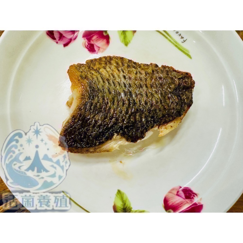 南洋魚販售所 · 活菌養殖 鹹水 帶皮 台灣鯛魚片 魚排 / 台灣鯛 / 鯛魚排 / 無土味 / 吳郭魚 魚片-細節圖4